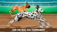 Virtual Derby Dog Racing Championship Screen Shot 3