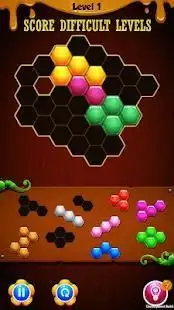 Hexagon Party Puzzle Screen Shot 0