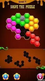 Hexagon Party Puzzle Screen Shot 2