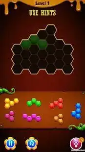 Hexagon Party Puzzle Screen Shot 1
