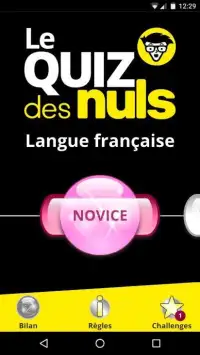 Quiz pour les Nuls Langue française Screen Shot 5