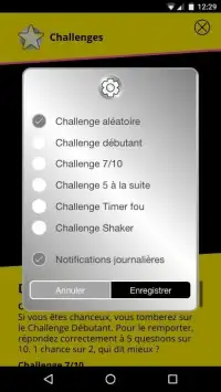 Quiz pour les Nuls Langue française Screen Shot 0