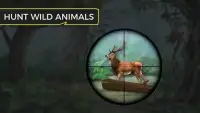 Wild Animal Hunting 3D - Jeep Drive Simulator Screen Shot 3