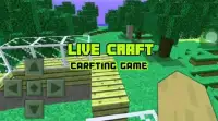 Live Craft : Crafting and Survival Screen Shot 0