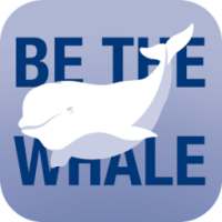 Be the Whale Beluga