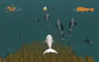 Be the Whale Beluga Screen Shot 6