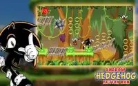 The Shadow Hedgehog Action Run Screen Shot 1