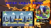 Super Crazy Sonic Screen Shot 3