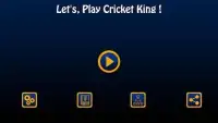 Cricket King Screen Shot 6