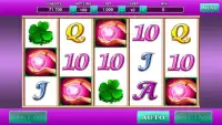 Lucky Lady Fun Slot Screen Shot 4