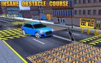 Speed Bump Crash Death Car Race Screen Shot 3