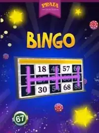 Video Bingo Ipanema Screen Shot 2