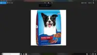 Name That Dog Food. Screen Shot 4