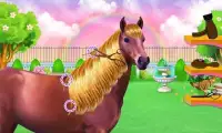 Horse Hair Salon and Mane- Tressage Screen Shot 6