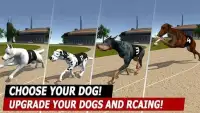 GREYHOUND DOG RACiNG SIMULATOR - DOG RUN Screen Shot 2