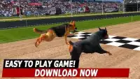 GREYHOUND DOG RACiNG SIMULATOR - DOG RUN Screen Shot 0