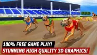 GREYHOUND DOG RACiNG SIMULATOR - DOG RUN Screen Shot 3