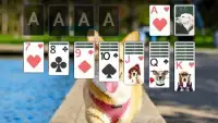 Solitaire Lovely Dogs Theme Screen Shot 1