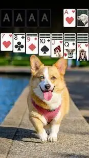 Solitaire Lovely Dogs Theme Screen Shot 3