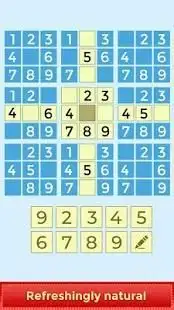 Sudoku Puzzle Tournament Screen Shot 21
