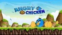 Angry chicken hunting bad pigs knock down Screen Shot 2