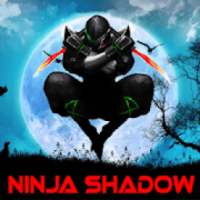 Ninja Warrior Shadow Fight