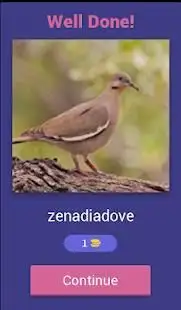 Bird Quiz Screen Shot 13