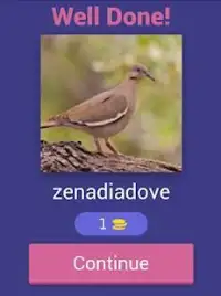 Bird Quiz Screen Shot 4