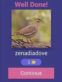 Bird Quiz Screen Shot 17