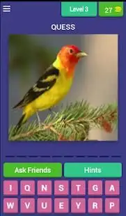 Bird Quiz Screen Shot 22