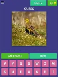 Bird Quiz Screen Shot 15
