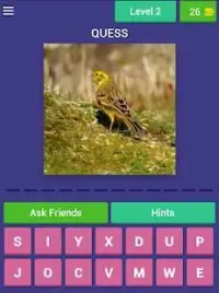 Bird Quiz Screen Shot 6