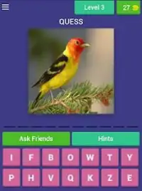 Bird Quiz Screen Shot 5