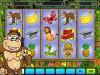 Crazy Monkey Deluxe Screen Shot 4