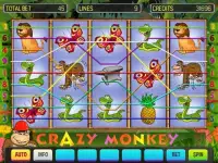 Crazy Monkey Deluxe Screen Shot 0