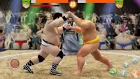 Sumo Wrestling WWE Screen Shot 1