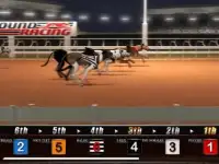 Greyhound Dog Racing Simulator Screen Shot 1