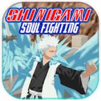 Shinigami Soul Society Sword Fighting