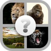 Guess The Animals - Animal Quiz for learning & Fun