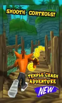 Temple Crash Jungle 3D Screen Shot 1