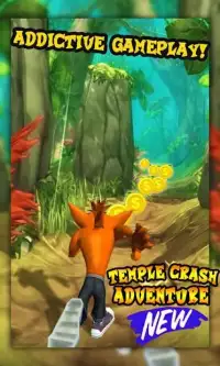 Temple Crash Jungle 3D Screen Shot 3