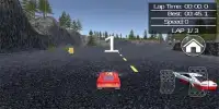 New Adventure Car Race 3D Screen Shot 5