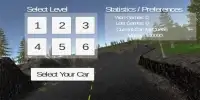 New Adventure Car Race 3D Screen Shot 1