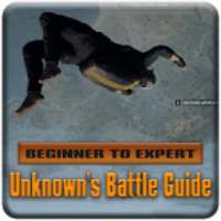 Beginner to Expert | UNKNOWN’S BATTLE ROYALE