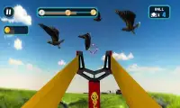Slingshot Bird Hunt 3D Shooting Range Fun Game Screen Shot 4