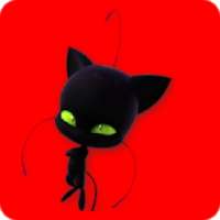 Ladybug und Cat Noir - Quiz