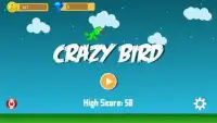 Crazy Bird Screen Shot 2