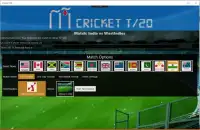 Cricket T 20 Screen Shot 4