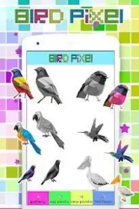Coloring Bird Pixel Art, By Number Screen Shot 2