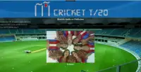 Cricket T 20 Screen Shot 2